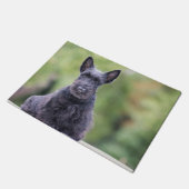 Paillasson Black Scottish Terrier (Incliné)
