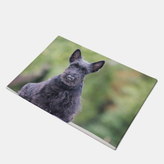 Paillasson Black Scottish Terrier (Incliné)