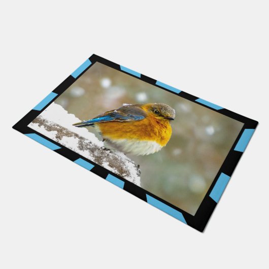 Paillasson Bleuet de l'Est en neige - Photo originale (Incliné)