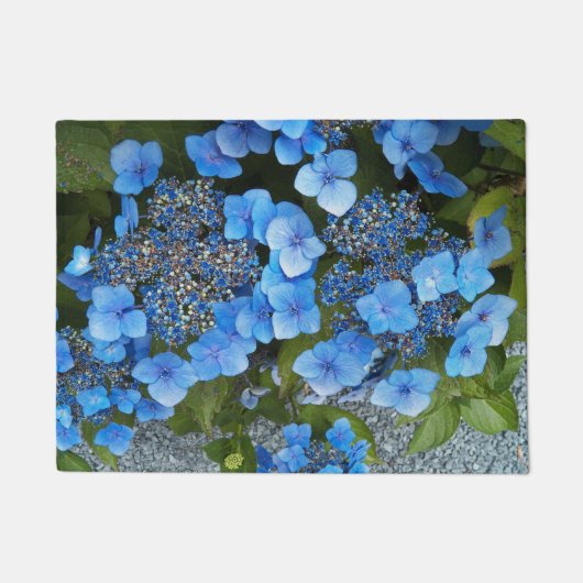 Paillasson Blue Lacecap Hydrangea Floral (Devant)