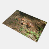 Paillasson boletus (Incliné)