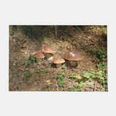 Paillasson boletus (Devant)