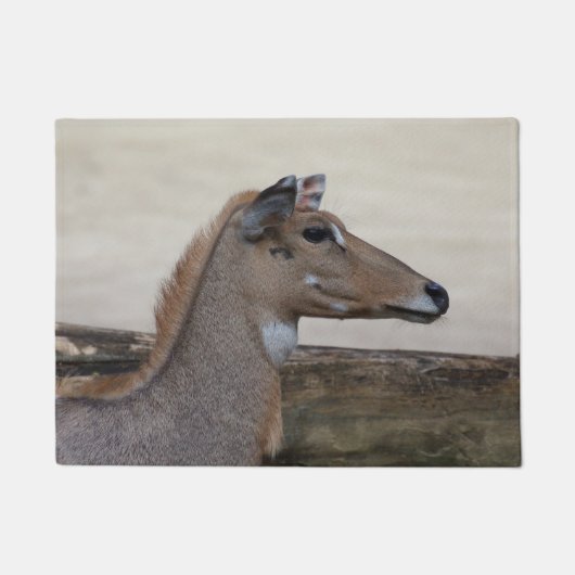 Paillasson Boselaphus tragocamelus (Devant)
