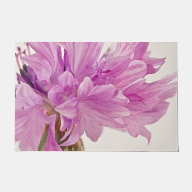 Paillasson Bouton de mise à jour (Devant)