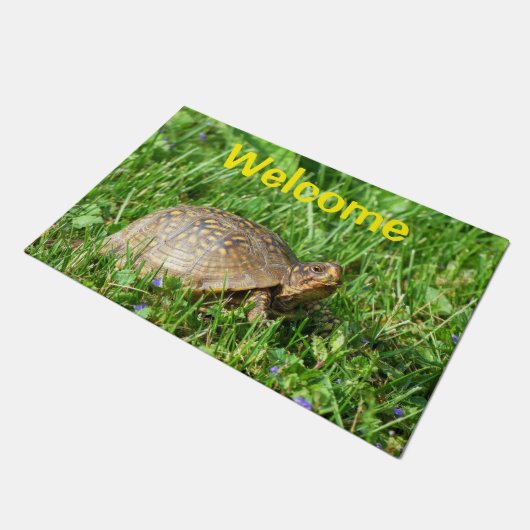 Paillasson Box Turtle Doormat (Incliné)