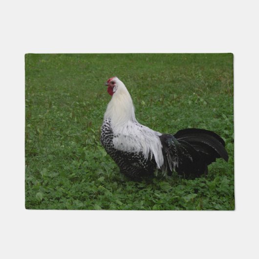 Paillasson Brakel Hahn (Devant)