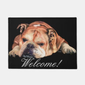 Paillasson Bulldog anglais, Bienvenue (Devant)