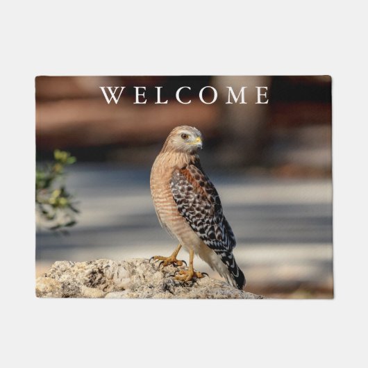 Paillasson Buse à épaulettes rouge sur un rocher (Devant)