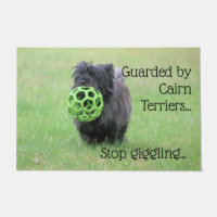 Cairn terrier