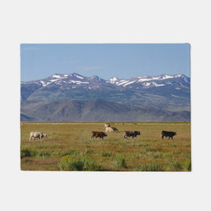 Paillasson California HWY 395 Paysage