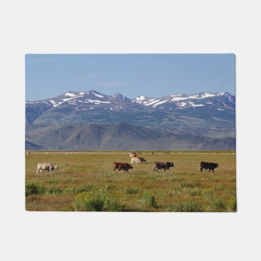 Paillasson California HWY 395 Paysage (Devant)