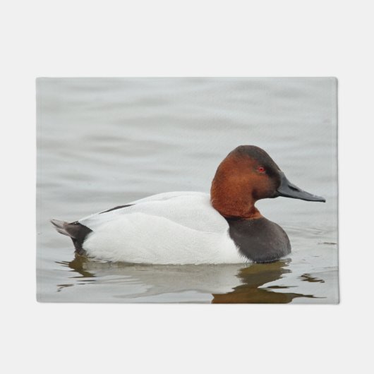 Paillasson Canard de Canvasback Drake (Devant)