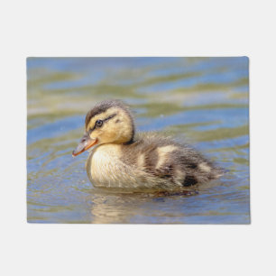 Paillasson Caneton de Mallard