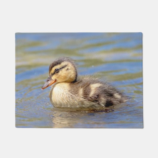 Paillasson Caneton de Mallard (Devant)