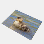 Paillasson Caneton de Mallard (Incliné)