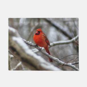 Paillasson Cardinal mâle