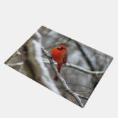 Paillasson Cardinal mâle (Incliné)