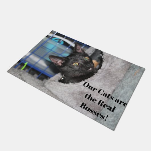 Paillasson Cat (Incliné)