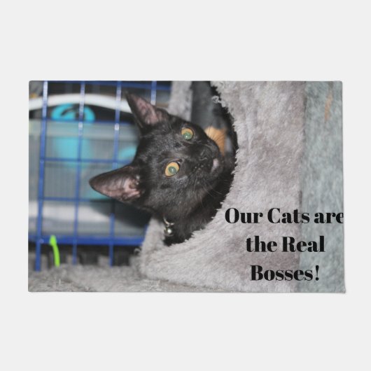 Paillasson Cat (Devant)