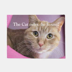 Paillasson Cat
