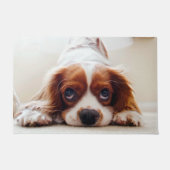 Paillasson Cavalier Charles Spaniel (Devant)