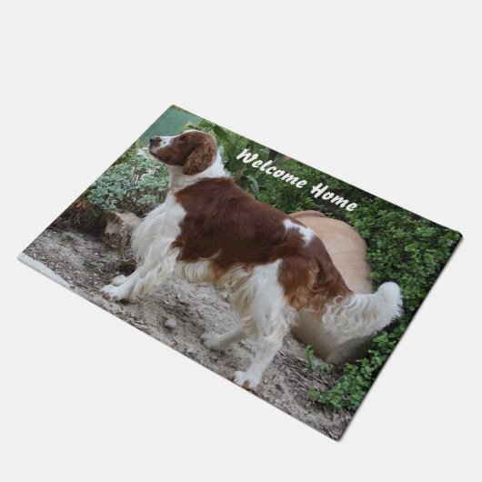 Paillasson Cavalier espagnol (Incliné)