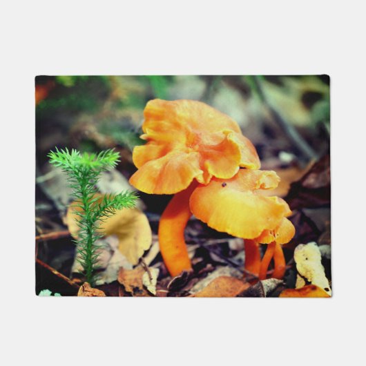 Paillasson Champignons sauvages d'orange pâle gros (Devant)