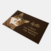 Paillasson Chat amusant Dessin Beige Brown (Incliné)