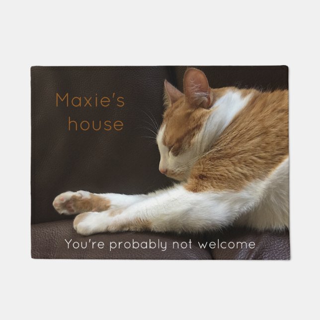 Paillasson Chat dormant sur un canapé (Devant)