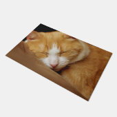 Paillasson Chaton couchant (Incliné)