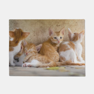Paillasson Chaton tigré orange et blanc/Ajoutez la photo de v