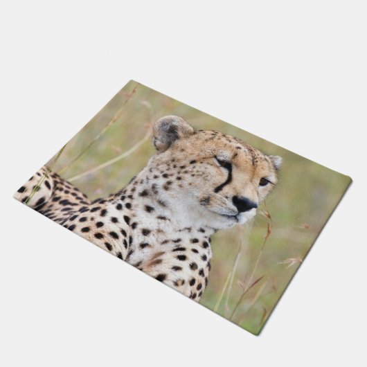 Paillasson Cheetah (Incliné)
