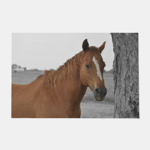 Paillasson Cheval Brun sur Fond Noir et Blanc