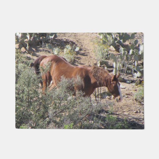 Paillasson Cheval dans le désert (Devant)