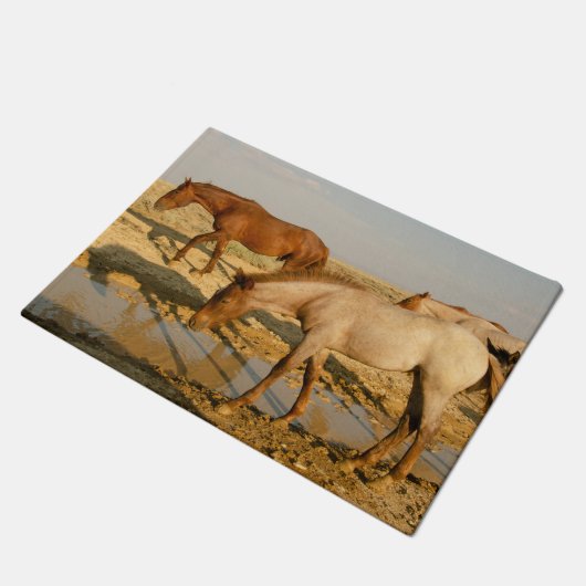 Paillasson Chevaux à la recherche d'eau (Incliné)