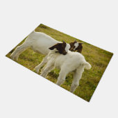 Paillasson Chèvres de Boer Migné Champ (Incliné)