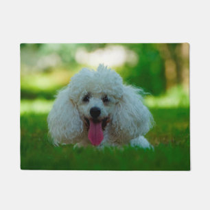 Paillasson Chien Caniche.