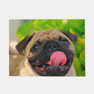 Paillasson Chien Carlin.