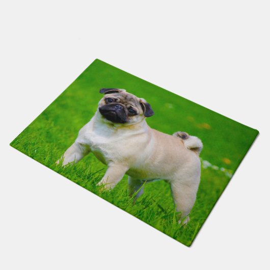 Paillasson Chien carlin. (Incliné)