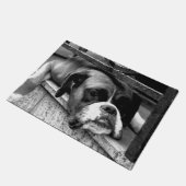 Paillasson Chien de boîte sur Windows rebord dm arc1 (Incliné)