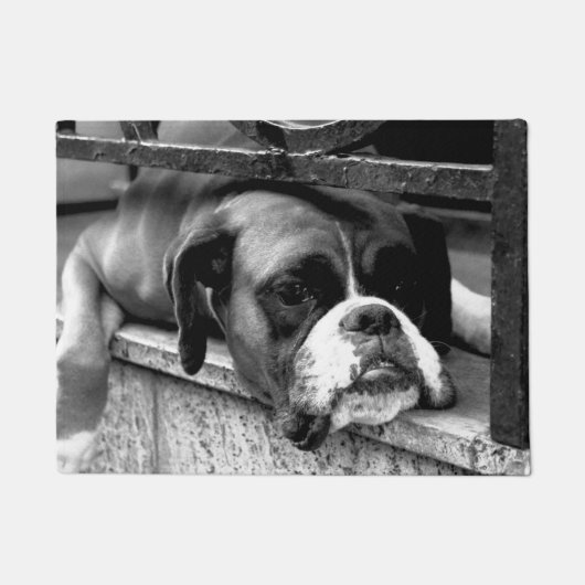 Paillasson Chien de boxe sur dmcna Windows (Devant)