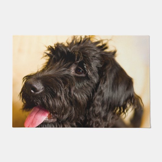Paillasson Chien de Labradoodle. (Devant)