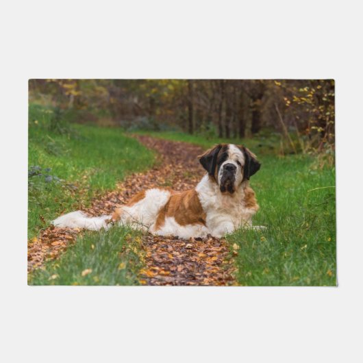 Paillasson Chien de Saint Bernard en automne (Devant)