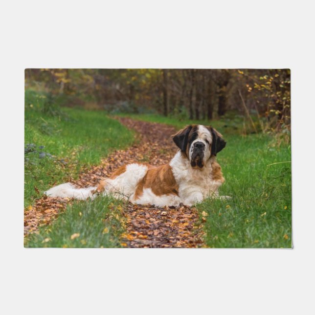 Paillasson Chien de Saint Bernard en automne (Devant)