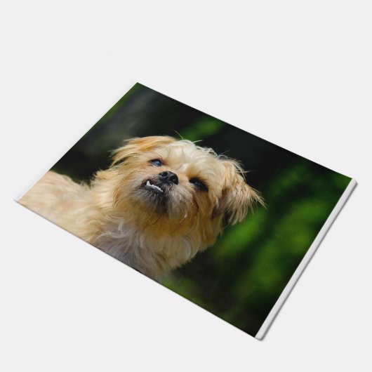 Paillasson Chien Griffon (Incliné)