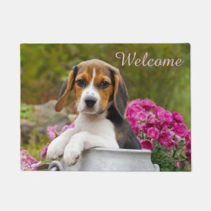 Paillasson Chien mignon Beagle dans l'église du lait - Bienv