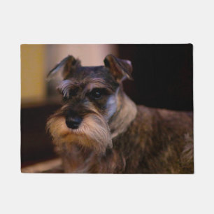 Paillasson Chien Schnauzer