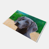 Paillasson Chien Weimaraner. (Incliné)