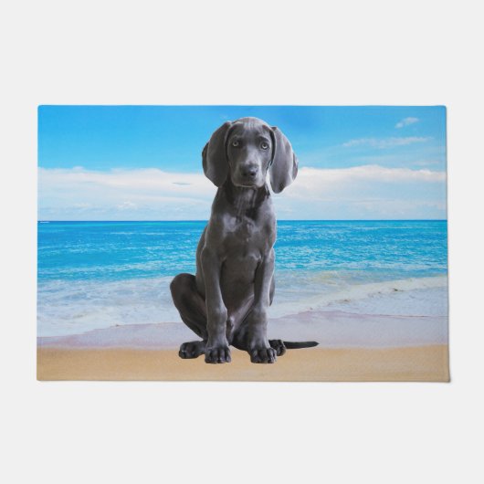 Paillasson Chien Weimaraner Assis Sur La Plage (Devant)