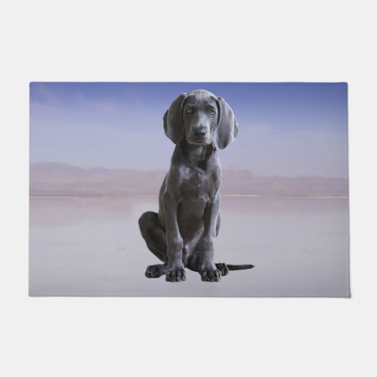 Paillasson Chien Weimaraner Assis Sur La Plage (Devant)